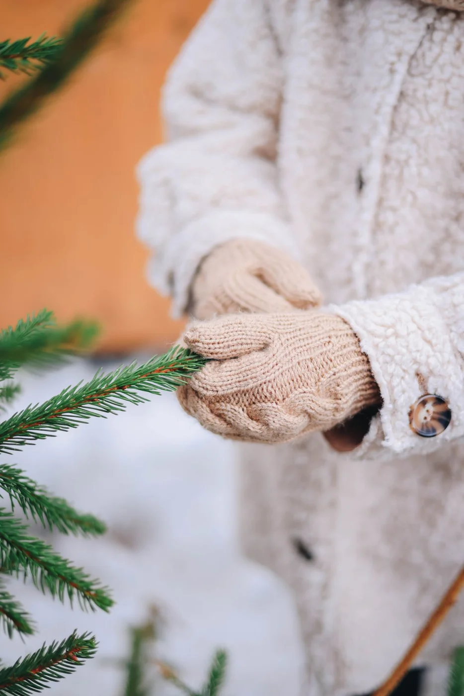 Knitted gloves worn while handling evergreen branches